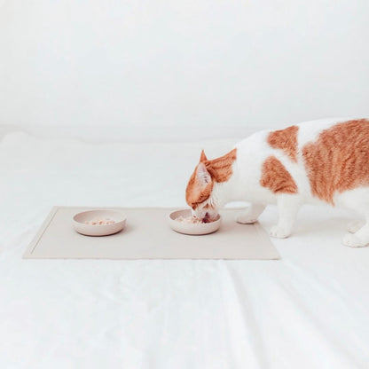 Bamboo Dog Bowl - Merengue