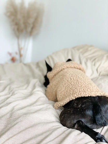 Dog Sweater - Camel Teddy