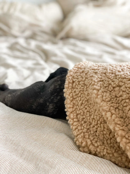 Dog Sweater - Camel Teddy