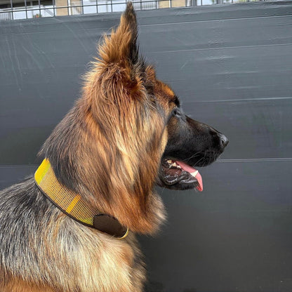 Beaded Lurcher - Funny