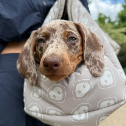 The Nap Bag | Figaro Beige