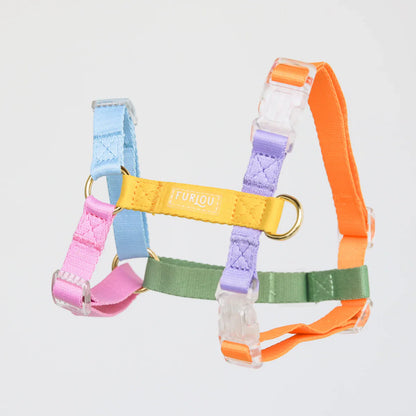 Dog Harness - Rainbow