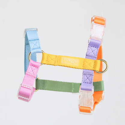 Dog Harness - Rainbow