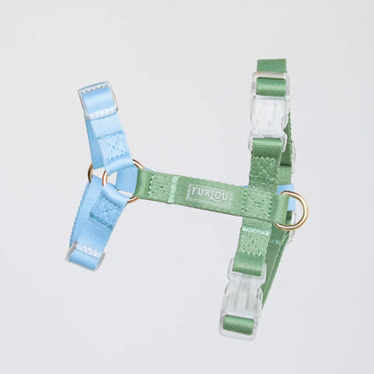 Dog Harness - Lake Day