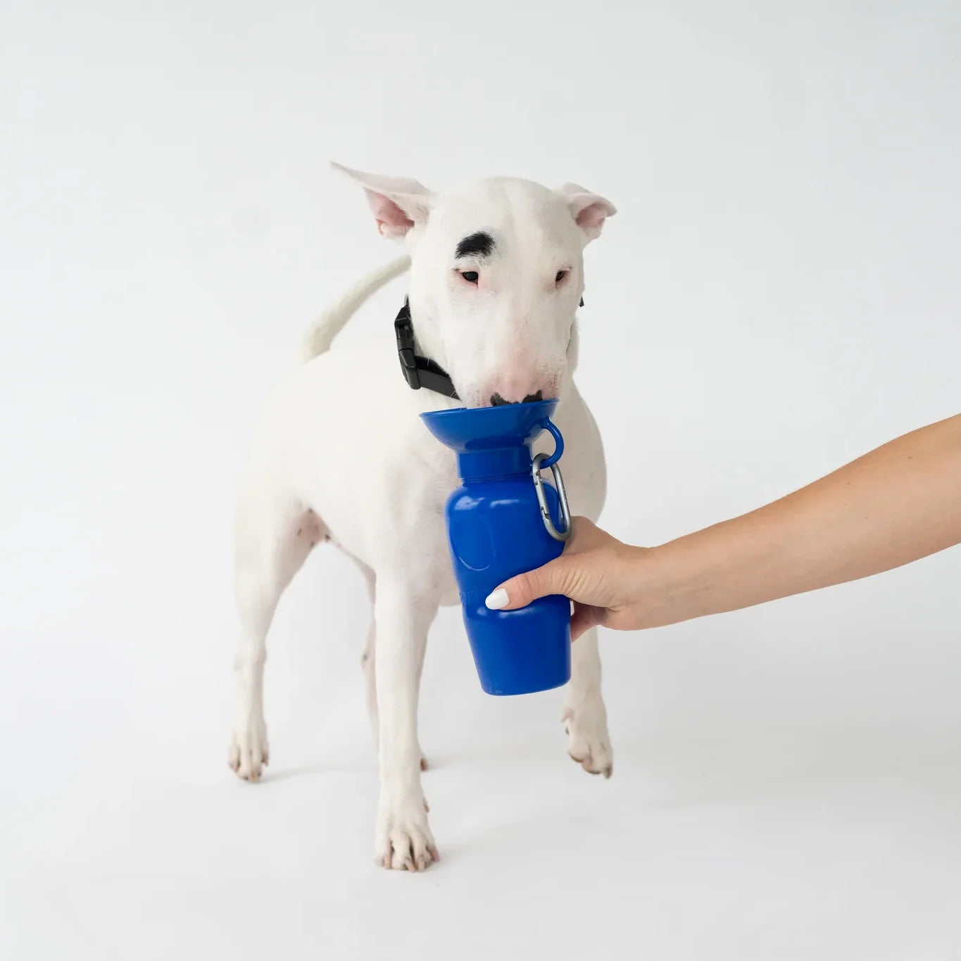 Travel Water Bottle - Indigo