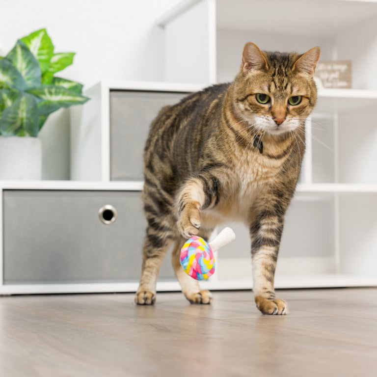 I'm Sweet Lollipop | Cat Toy