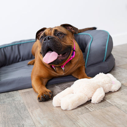 Furries - Long Ear Bunny