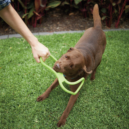 Tug O War Rubber Dog Toy