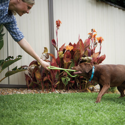 Tug O War Rubber Dog Toy