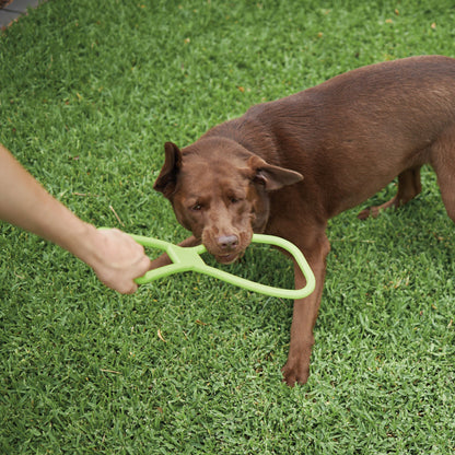Tug O War Rubber Dog Toy