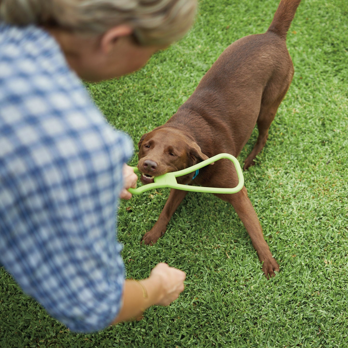 Tug O War Rubber Dog Toy