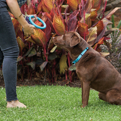 Chew Ring Tough Dog Toy