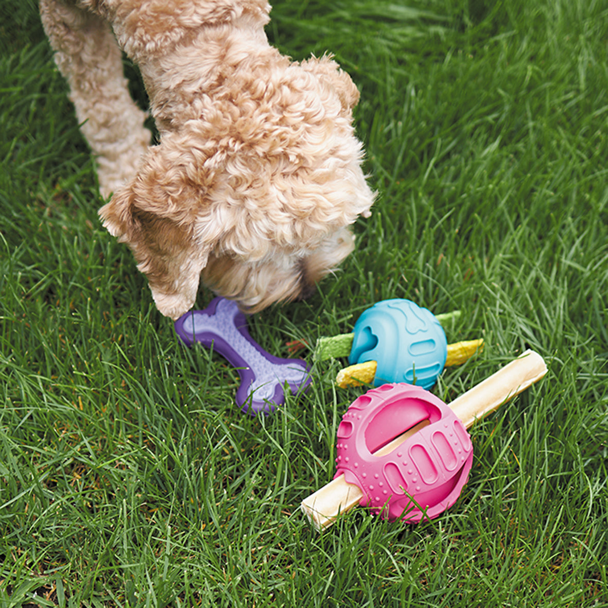 Chew & Treat Enrichment Dog Ball