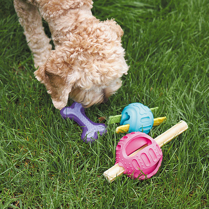 Chew & Treat Enrichment Dog Ball