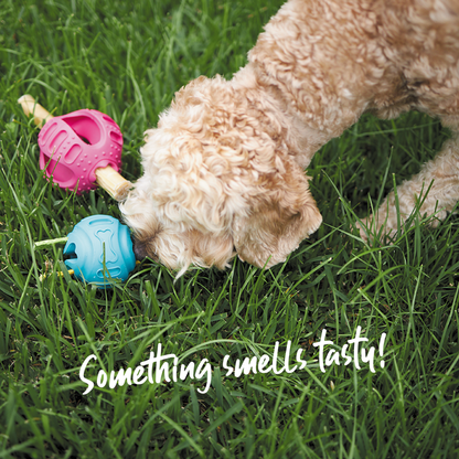 Chew & Treat Enrichment Dog Ball