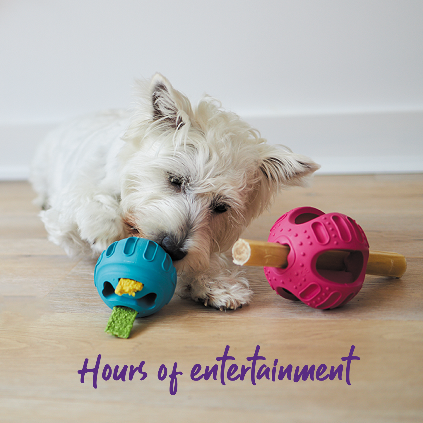 Chew & Treat Enrichment Dog Ball