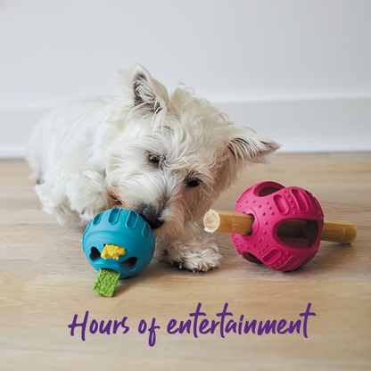 Chew & Treat Enrichment Dog Ball