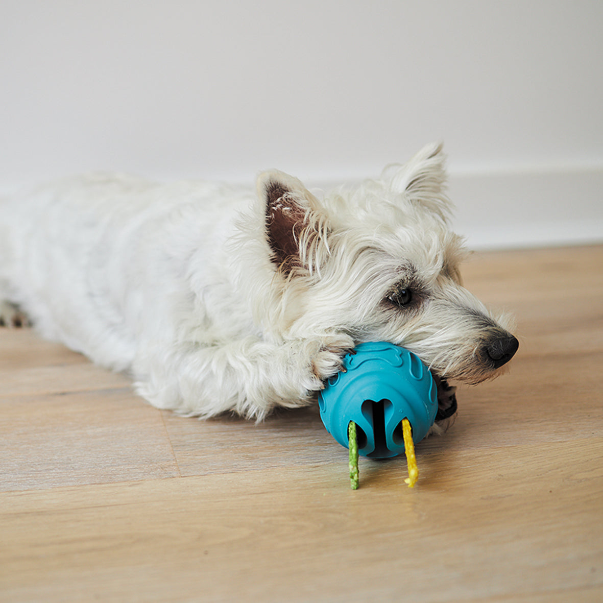 Chew & Treat Enrichment Dog Ball