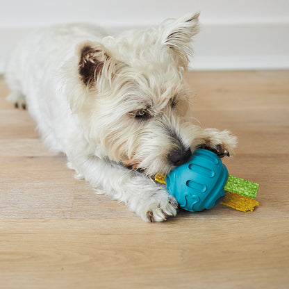 Chew & Treat Enrichment Dog Ball