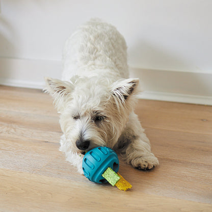 Chew & Treat Enrichment Dog Ball