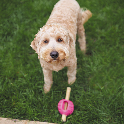 Chew & Treat Enrichment Dog Ball