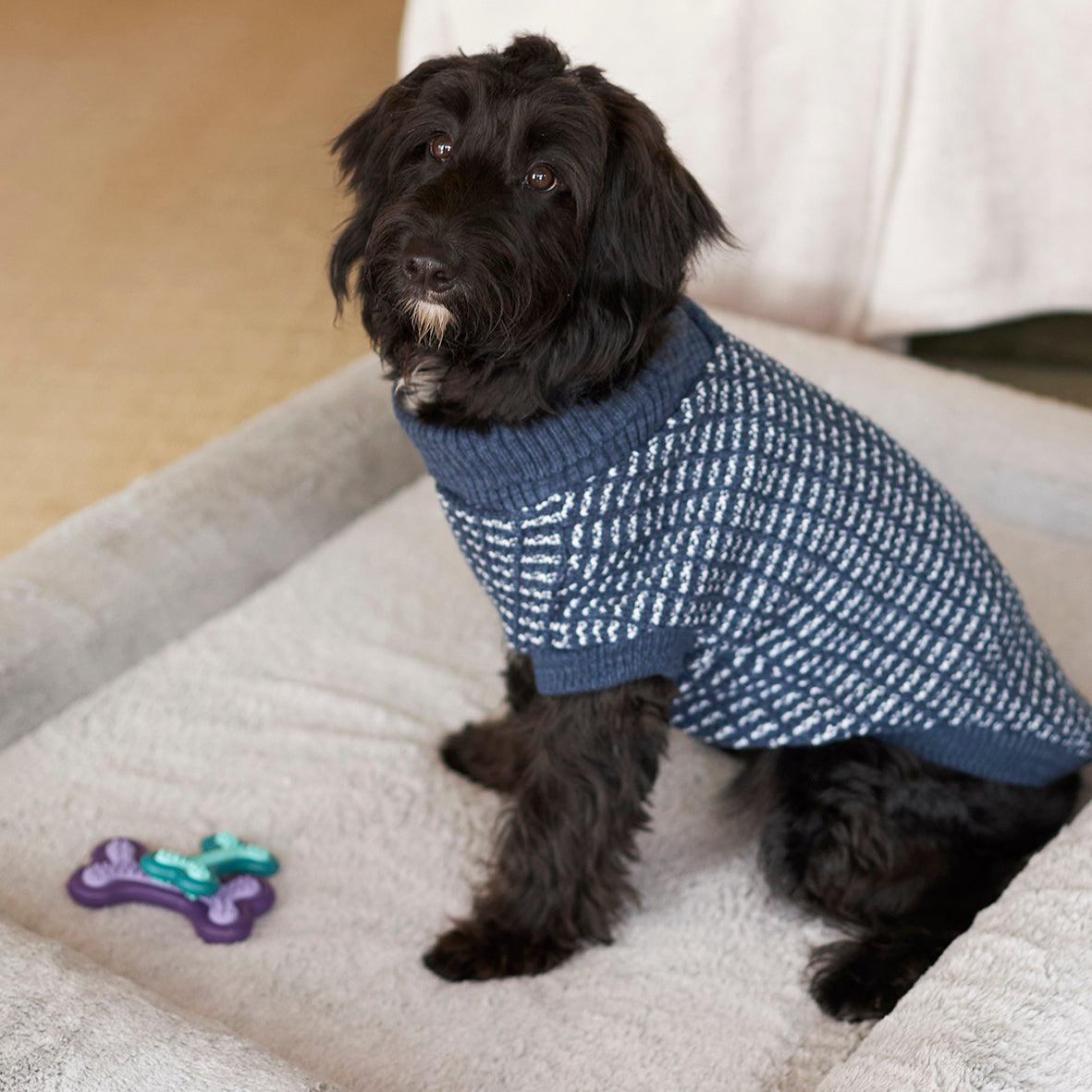 Puppy Teether Dog Toy