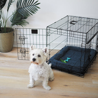 Puppy Teether Dog Toy