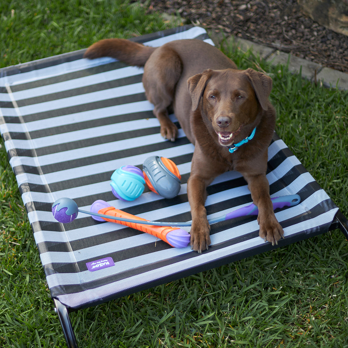 Extreme Play Dog Duraball - Large