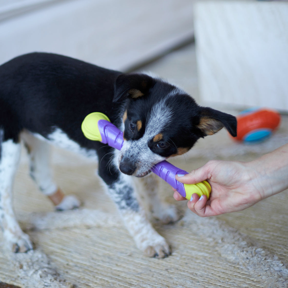 Extreme Play Dog Chew Stick - Medium