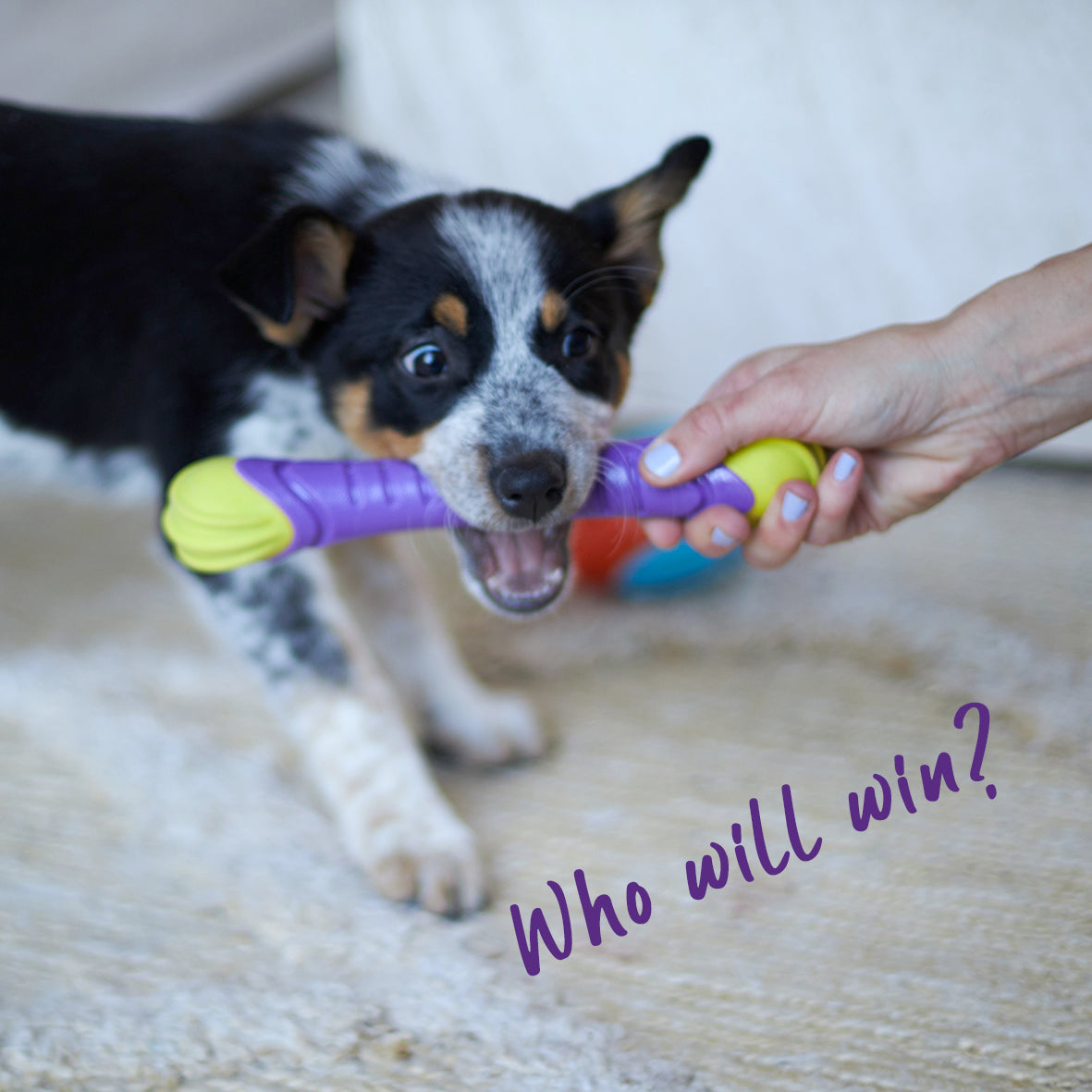 Extreme Play Dog Chew Stick - Medium