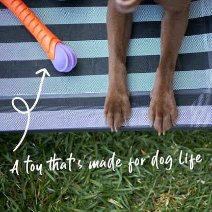 Extreme Play Dog Chew Stick - Large