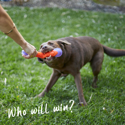 Extreme Play Dog Chew Stick - Large