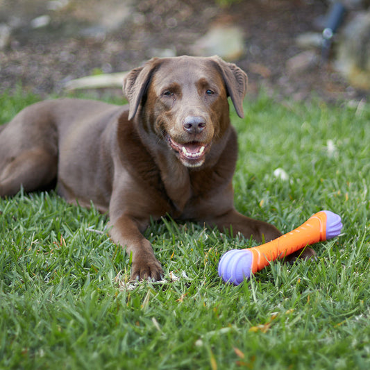 Extreme Play Dog Chew Stick - Large