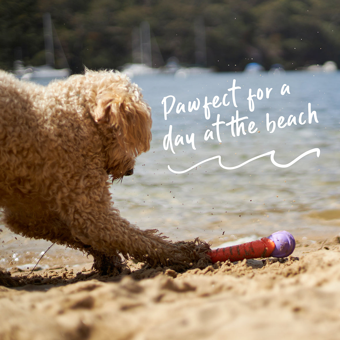 Extreme Play Dog Chew Stick - Large