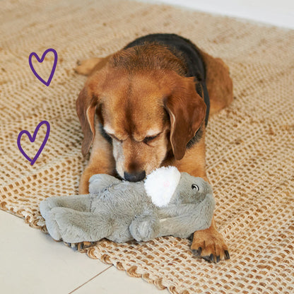 Furries - Long Ear Donkey