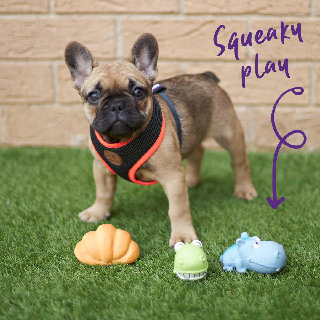 Cafe Woof - Minis Dog Toys (1pc)