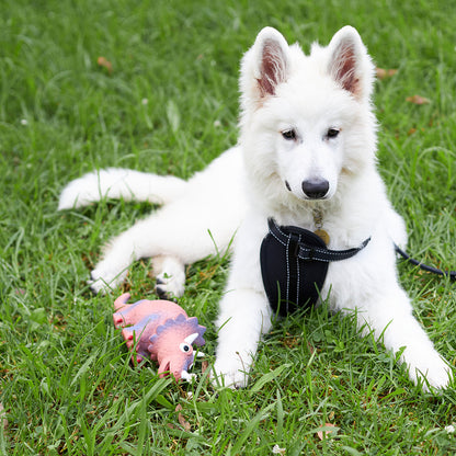 Tricky Triceratops Squeaky Dog Toy