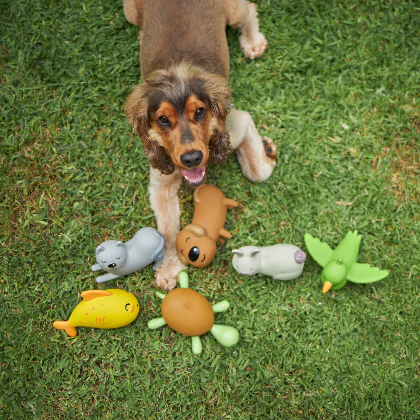 Happy the Bird - Medium Dog Toy