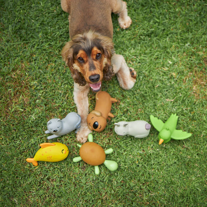 Rocket the Fish - Medium Dog Toy