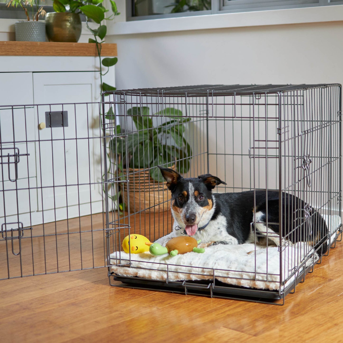 Rocket the Fish - Medium Dog Toy