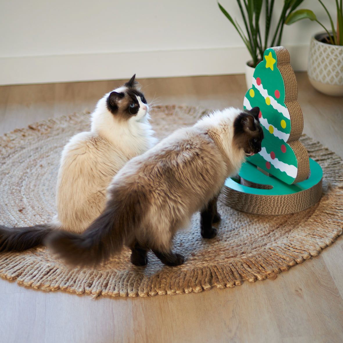 Cat Christmas Tree - Cardboard Scratcher & Ball Game