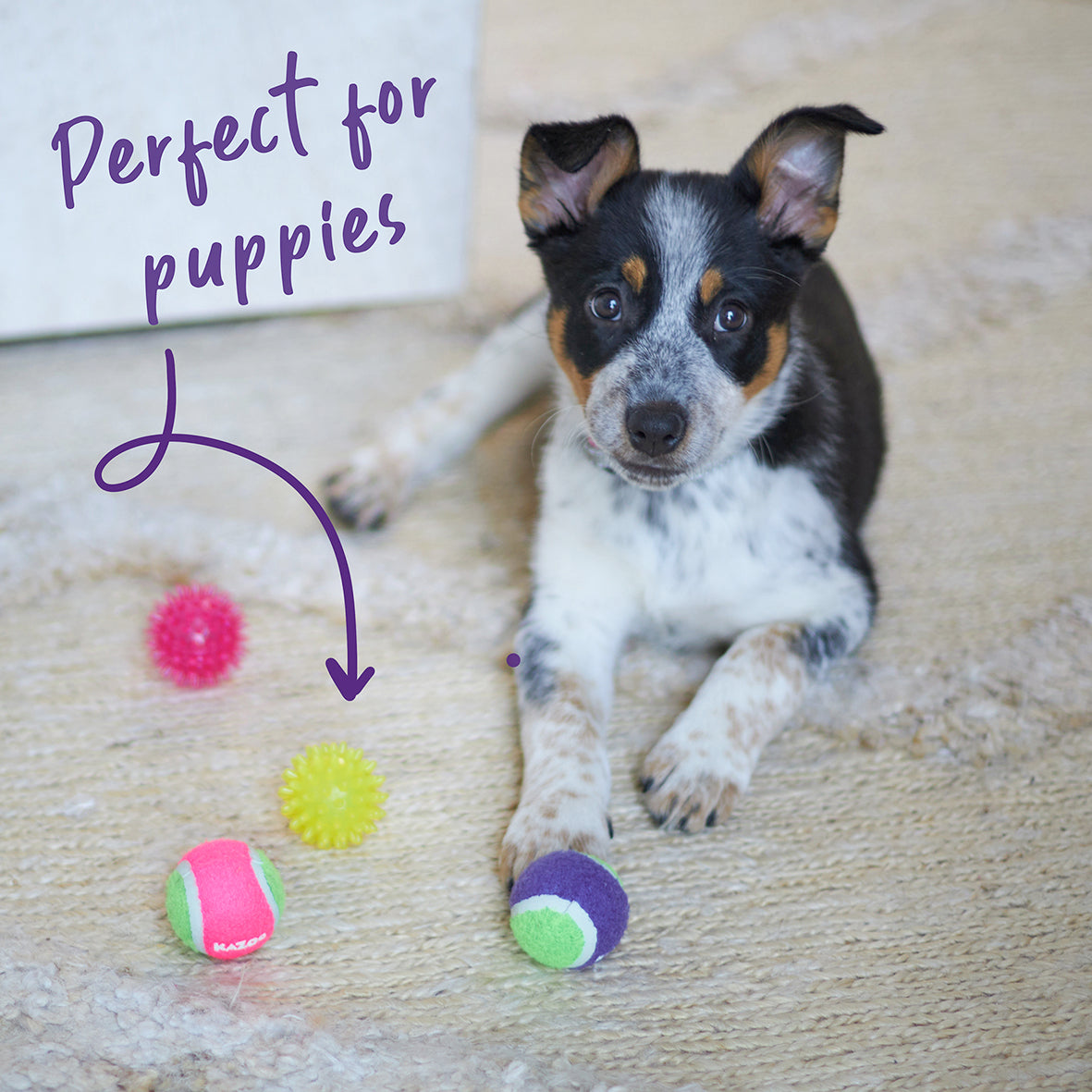 Tough Chewing Space Balls - Small Dog Toy