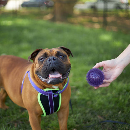 Tough Chewing Space Balls - Medium Dog Toy
