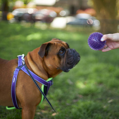 Tough Chewing Space Balls - Medium Dog Toy