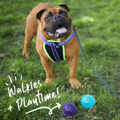 Tough Chewing Space Balls - Medium Dog Toy