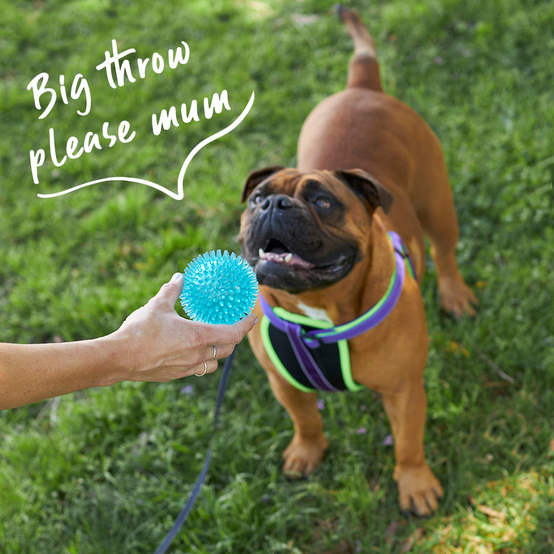Tough Chewing Space Balls - Medium Dog Toy