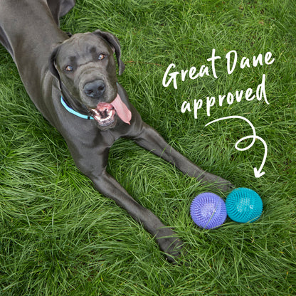 Tough Chewing Space Balls - Large Dog Toy