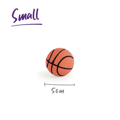 Bouncy Basketball Dog Toy