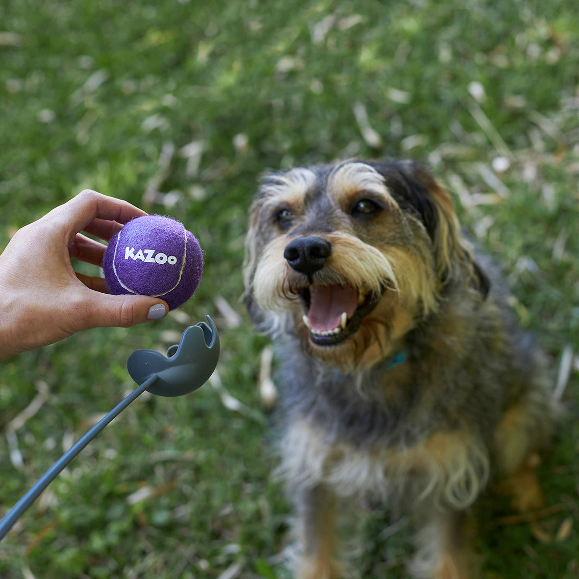 Eco-Friendly Ball Thrower Dog Toy