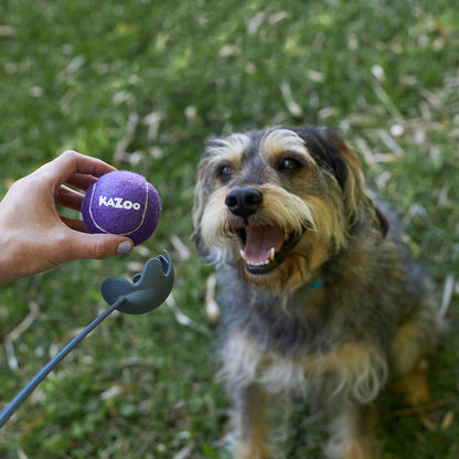 Eco-Friendly Ball Thrower Dog Toy